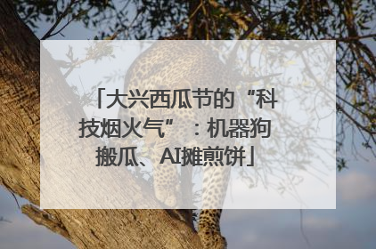 大兴西瓜节的“科技烟火气”：机器狗搬瓜、AI摊煎饼