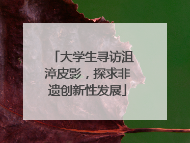 大学生寻访沮漳皮影，探求非遗创新性发展