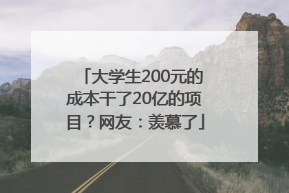 大学生200元的成本干了20亿的项目？网友：羡慕了