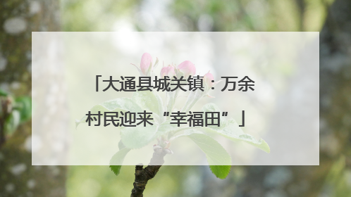 大通县城关镇：万余村民迎来“幸福田”
