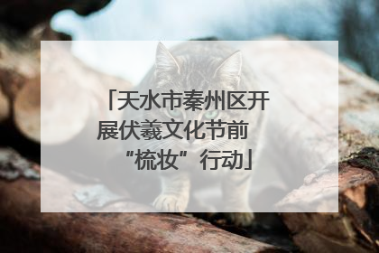 天水市秦州区开展伏羲文化节前 “梳妆”行动