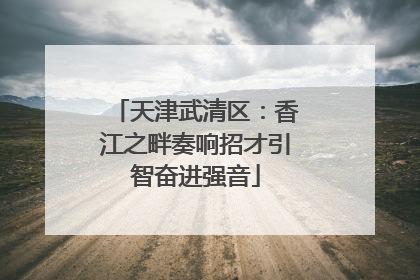 天津武清区：香江之畔奏响招才引智奋进强音