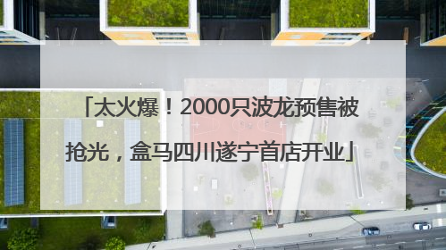 太火爆！2000只波龙预售被抢光，盒马四川遂宁首店开业