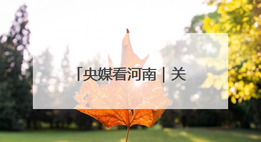 央媒看河南｜关注河南县乡消费“焕新”记等内容