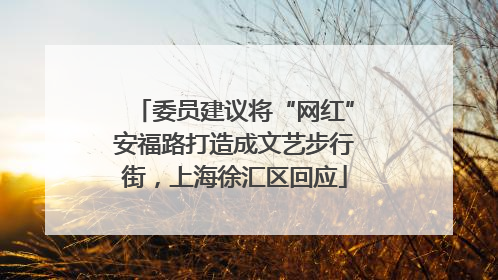 委员建议将“网红”安福路打造成文艺步行街，上海徐汇区回应