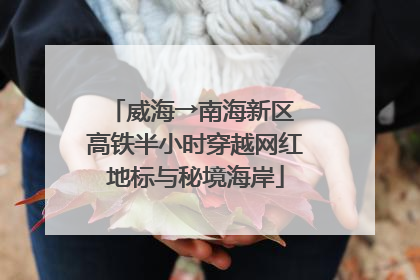 威海→南海新区 高铁半小时穿越网红地标与秘境海岸