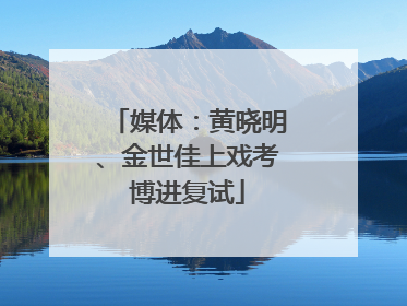 媒体：黄晓明、金世佳上戏考博进复试