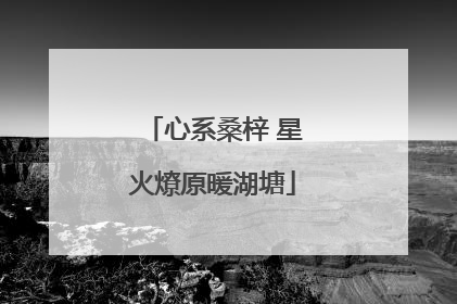 心系桑梓 星火燎原暖湖塘