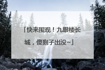 快来围观！九眼楼长城，傻狍子出没~