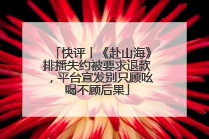 快评丨《赴山海》排播失约被要求退款，平台宣发别只顾吆喝不顾后果