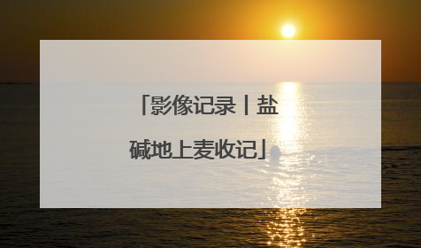 影像记录丨盐碱地上麦收记
