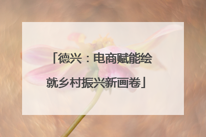 德兴：电商赋能绘就乡村振兴新画卷