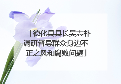 德化县县长吴志朴调研督导群众身边不正之风和腐败问题