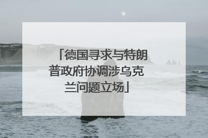 德国寻求与特朗普政府协调涉乌克兰问题立场