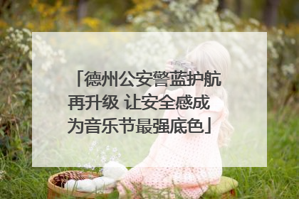 德州公安警蓝护航再升级 让安全感成为音乐节最强底色