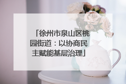 徐州市泉山区桃园街道：以协商民主赋能基层治理