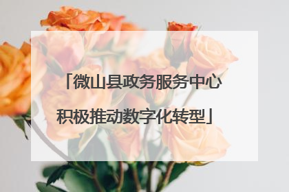 微山县政务服务中心积极推动数字化转型
