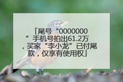 尾号“0000000”手机号拍出61.2万，买家“李小龙”已付尾款，仅享有使用权