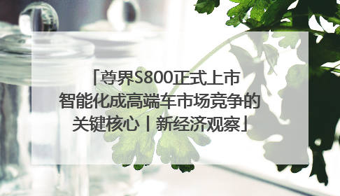 尊界S800正式上市 智能化成高端车市场竞争的关键核心丨新经济观察