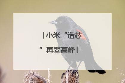 小米“造芯”再攀高峰