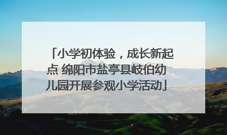 小学初体验，成长新起点 绵阳市盐亭县岐伯幼儿园开展参观小学活动