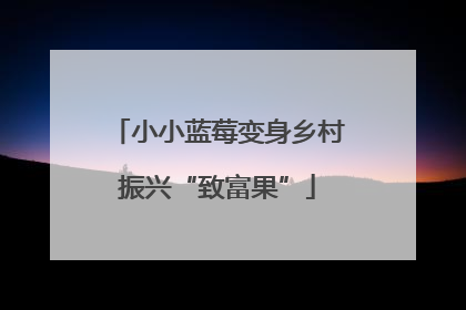 小小蓝莓变身乡村振兴“致富果”