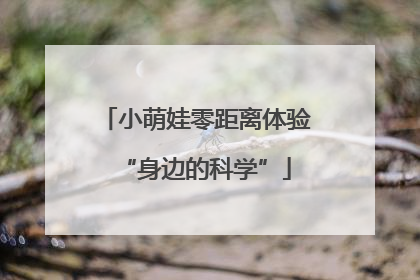 小萌娃零距离体验“身边的科学”