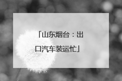 山东烟台：出口汽车装运忙
