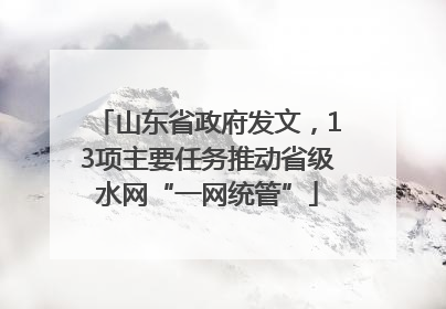 山东省政府发文，13项主要任务推动省级水网“一网统管”