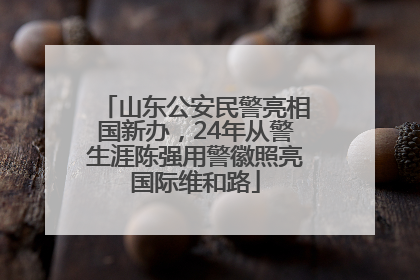 山东公安民警亮相国新办，24年从警生涯陈强用警徽照亮国际维和路