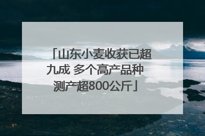山东小麦收获已超九成 多个高产品种测产超800公斤