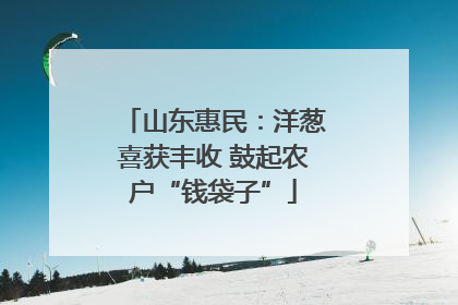 山东惠民：洋葱喜获丰收 鼓起农户“钱袋子”