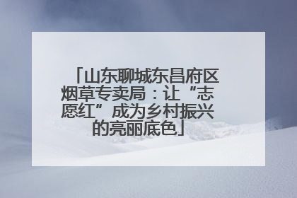 山东聊城东昌府区烟草专卖局：让“志愿红”成为乡村振兴的亮丽底色