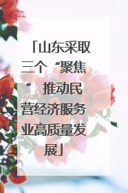 山东采取三个“聚焦” 推动民营经济服务业高质量发展