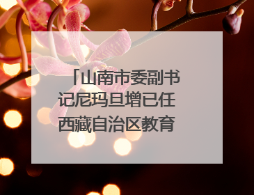 山南市委副书记尼玛旦增已任西藏自治区教育厅党组副书记