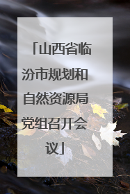 山西省临汾市规划和自然资源局党组召开会议