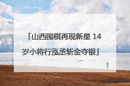 山西围棋再现新星 14岁小将行泓丞斩金夺银