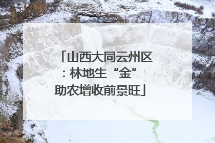山西大同云州区：林地生“金” 助农增收前景旺
