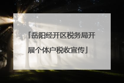 岳阳经开区税务局开展个体户税收宣传