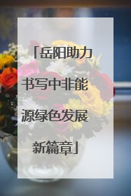 岳阳助力书写中非能源绿色发展新篇章
