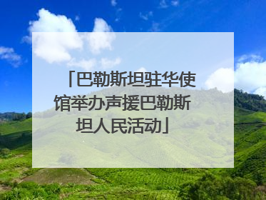 巴勒斯坦驻华使馆举办声援巴勒斯坦人民活动