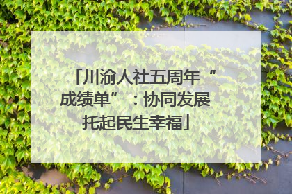 川渝人社五周年“成绩单”：协同发展托起民生幸福