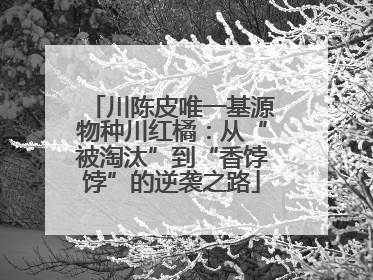 川陈皮唯一基源物种川红橘：从“被淘汰”到“香饽饽”的逆袭之路