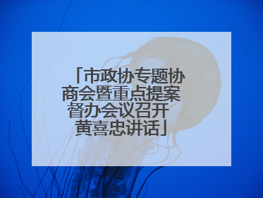 市政协专题协商会暨重点提案督办会议召开 黄喜忠讲话