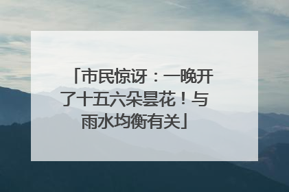 市民惊讶：一晚开了十五六朵昙花！与雨水均衡有关