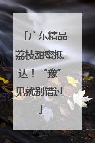 广东精品荔枝甜蜜抵达！“豫”见就别错过