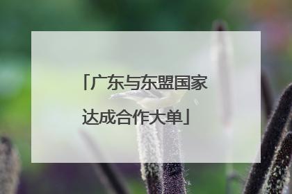 广东与东盟国家达成合作大单