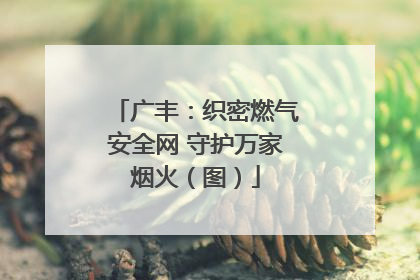 广丰：织密燃气安全网 守护万家烟火（图）