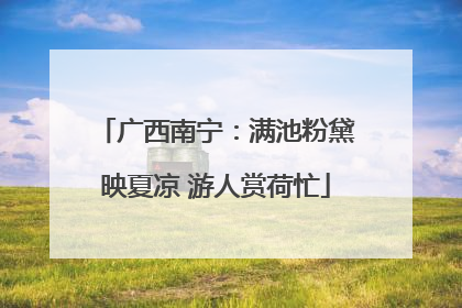 广西南宁：满池粉黛映夏凉 游人赏荷忙