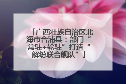 广西壮族自治区北海市合浦县：部门“常驻+轮驻”打造“解纷联合舰队”